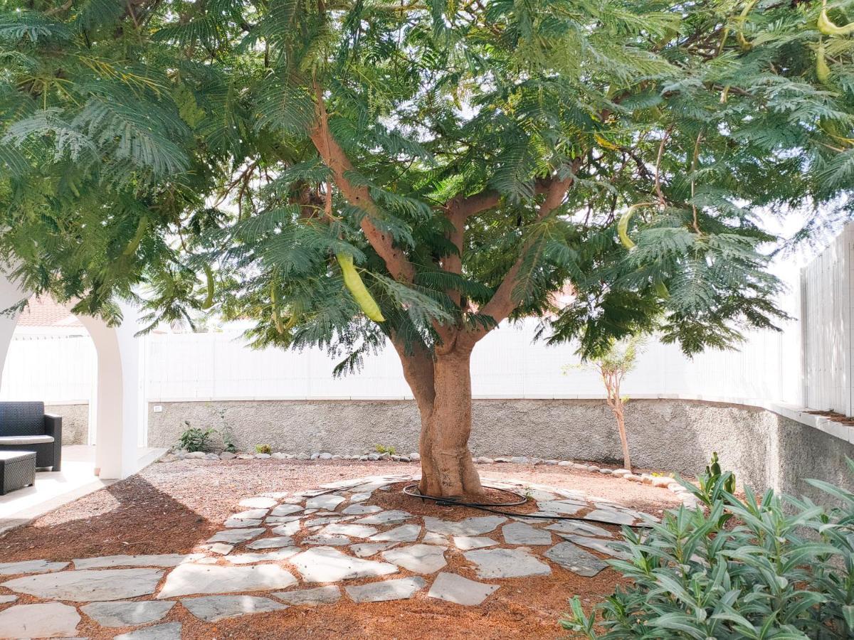 Pretty Terrace Holiday House In Maspalomas Playa del Ingles  Exterior foto